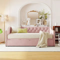 Twin Velvet Daybed with Pop-Up Trundle